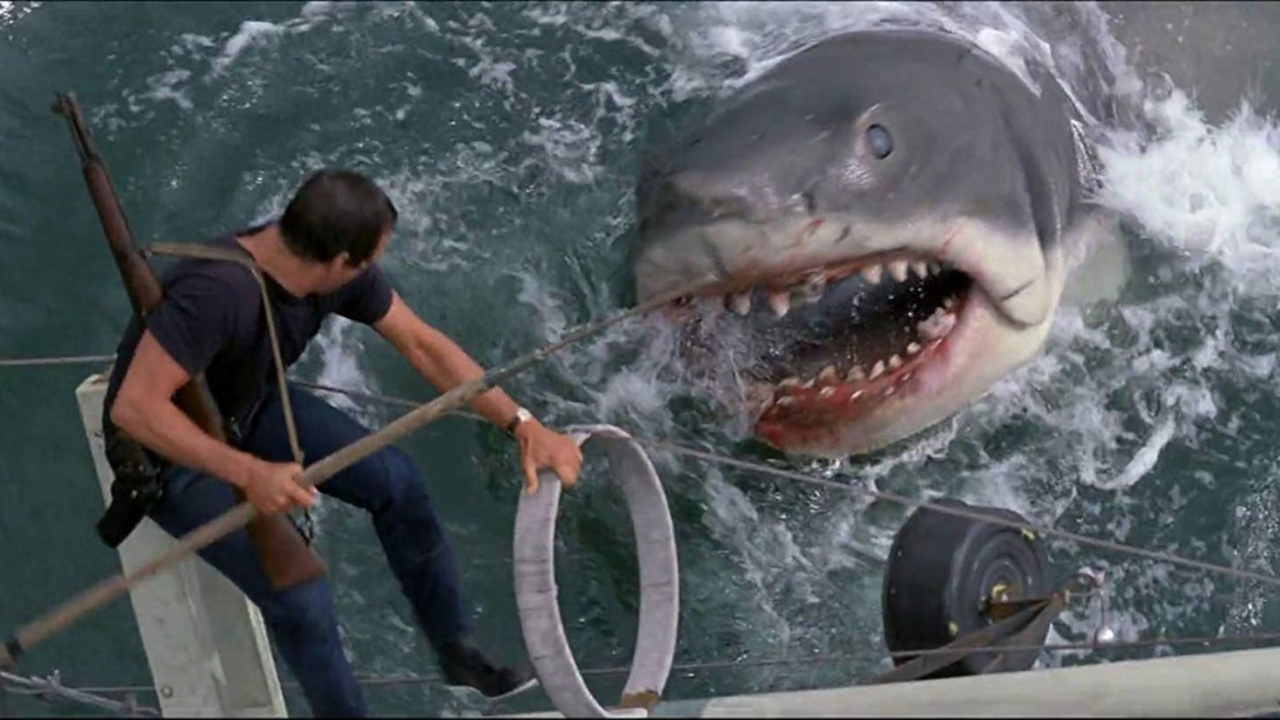 O verdadeiro tubarão assassino que inspirou o clássico Tubarão, de Steven Spielberg