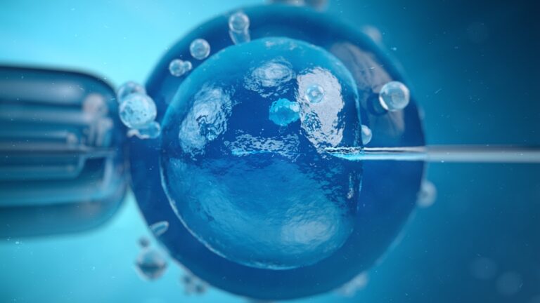 ‘Bebê mais velho’ do mundo nasce após fertilização in vitro nos EUA