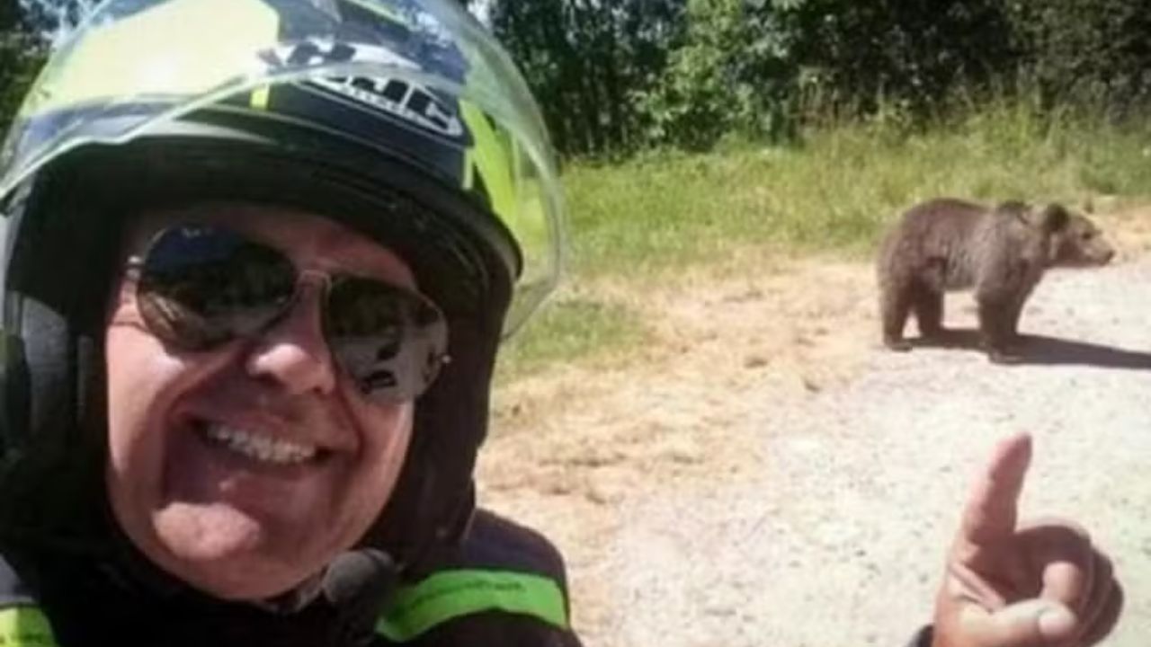 Turista italiano é morto por ursa após oferecer comida aos filhotes do animal