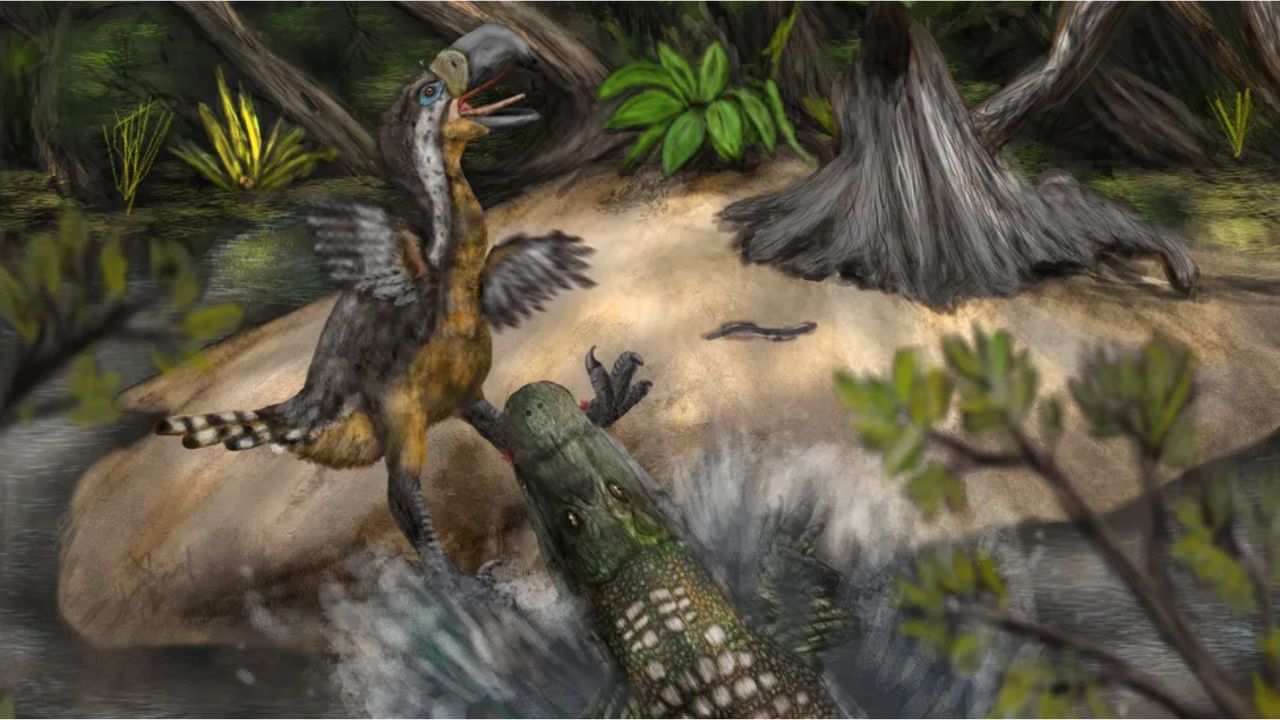 Marcas de mordida revelam que aves gigantes eram potenciais presas de jacarés