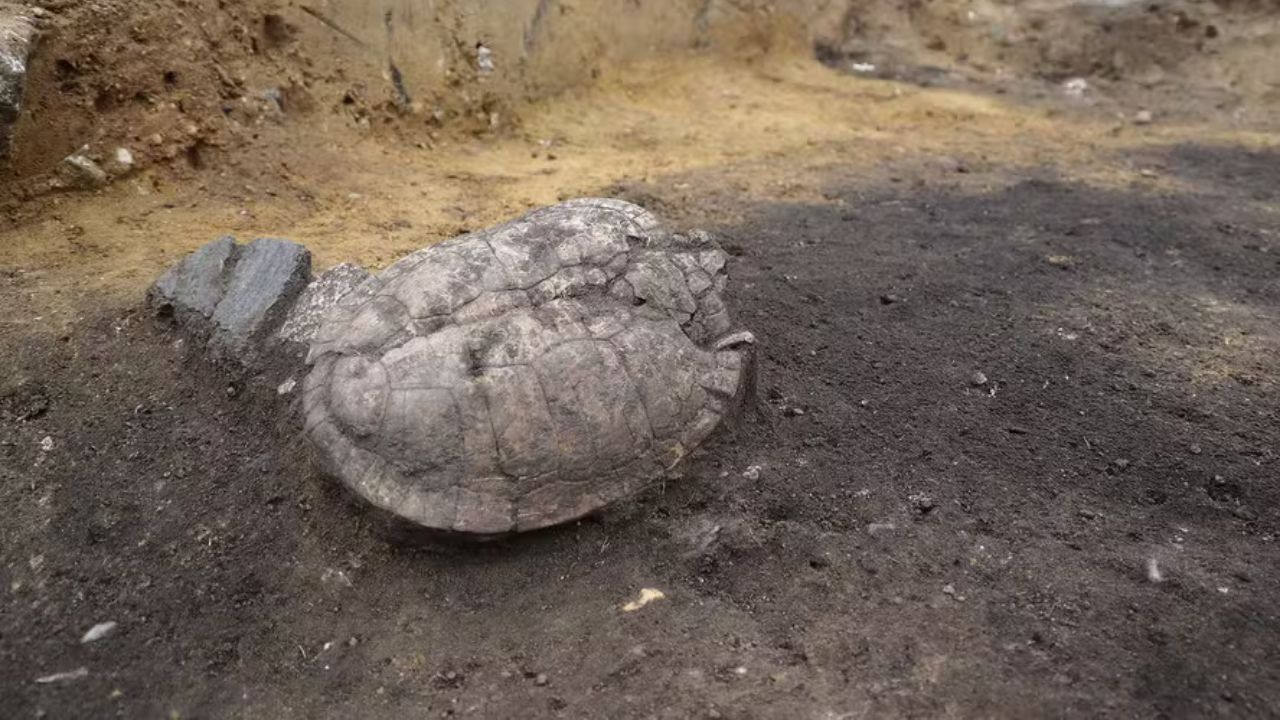 Assentamento de 3 mil anos é descoberto na Alemanha durante construção de estádio