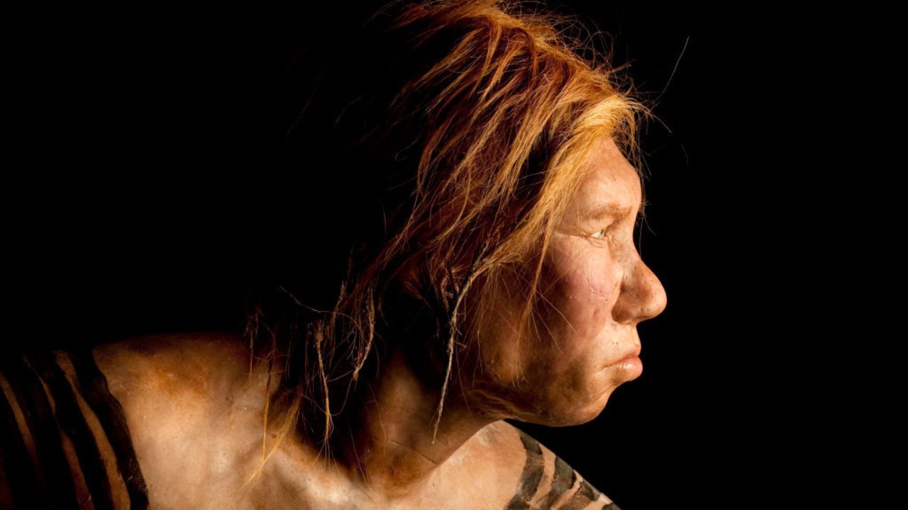 Como os neandertais podem ser trazidos de volta dentro de 20 anos?
