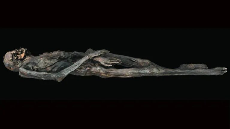 Múmia de 2.300 anos revela técnicas de tatuagem da antiga Sibéria