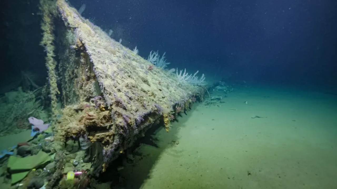 Proa arrancada de navio de guerra dos EUA por torpedo japonês é encontrada
