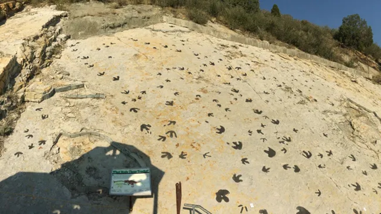 Dinossauros ‘dançaram’ por amor em arena pré-histórica no Colorado