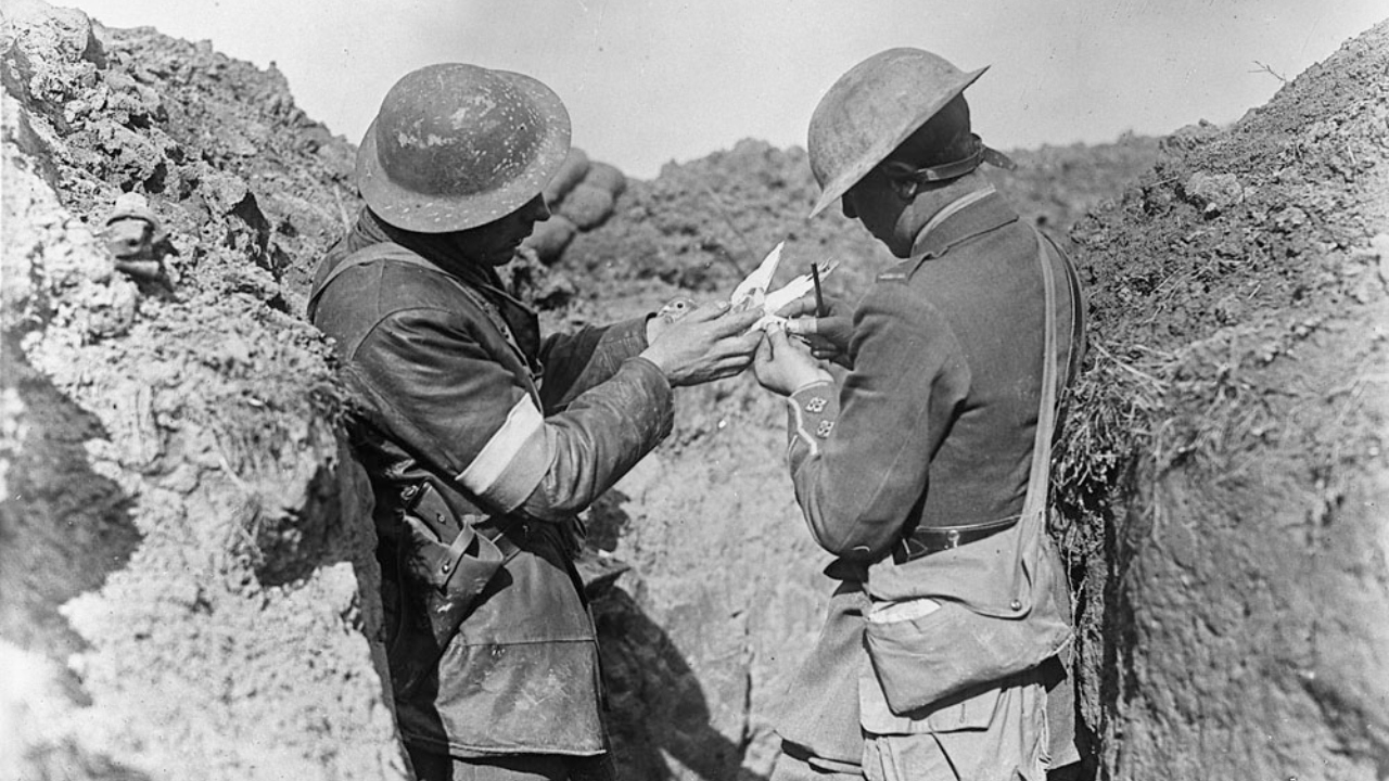 A mensagem secreta carregada por um pombo durante a Primeira Guerra Mundial