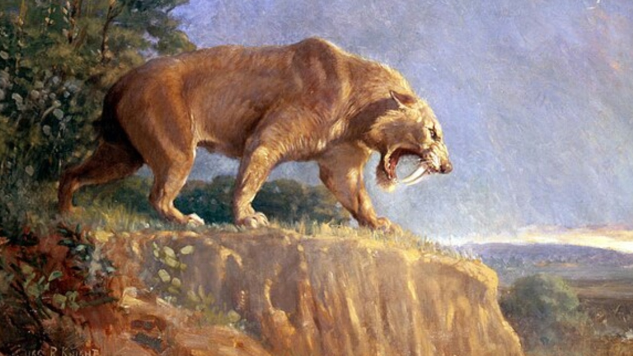 Pintura representando um tigre-dentes-de-sabre