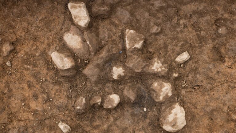 Acampamento indígena revela a história ancestral da Carolina do Norte