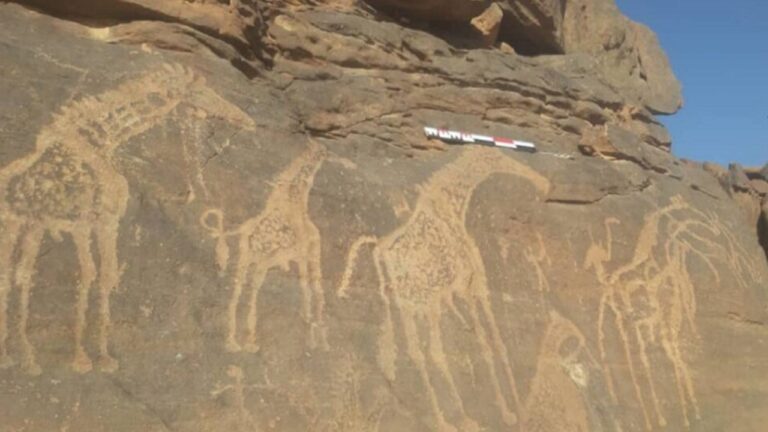 Descoberta revela arte rupestre de 10 mil anos nas montanhas da Líbia
