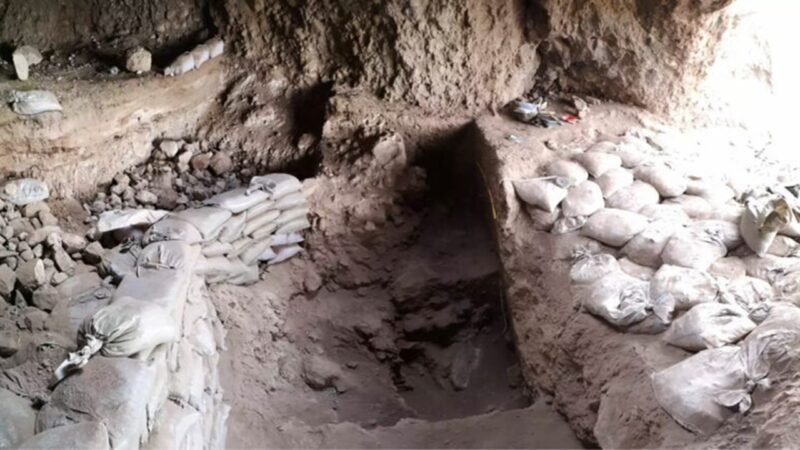 Descoberta no Uzbequistão desafia ideia sobre disseminação da agricultura
