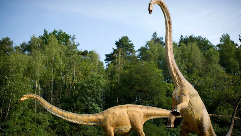 Dinossauros ilustrativa