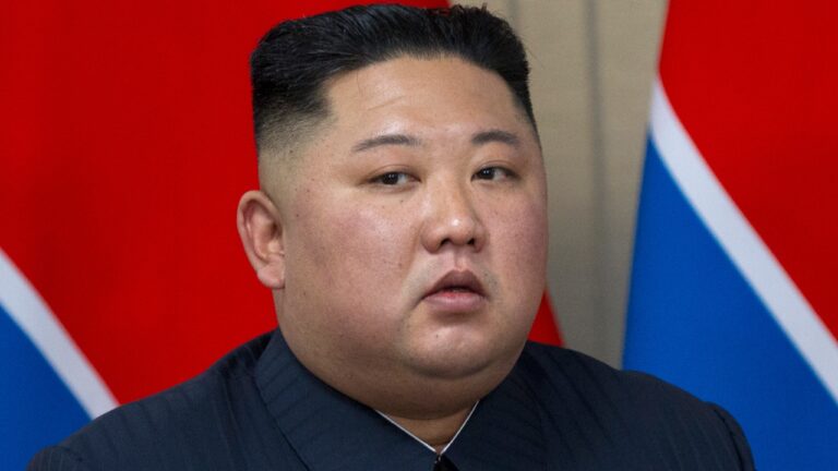 Kim Jong-un falsificou passaporte brasileiro para ir à Disneylândia?