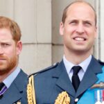 A atitude de Harry que William não consegue perdoar, segundo jornalista