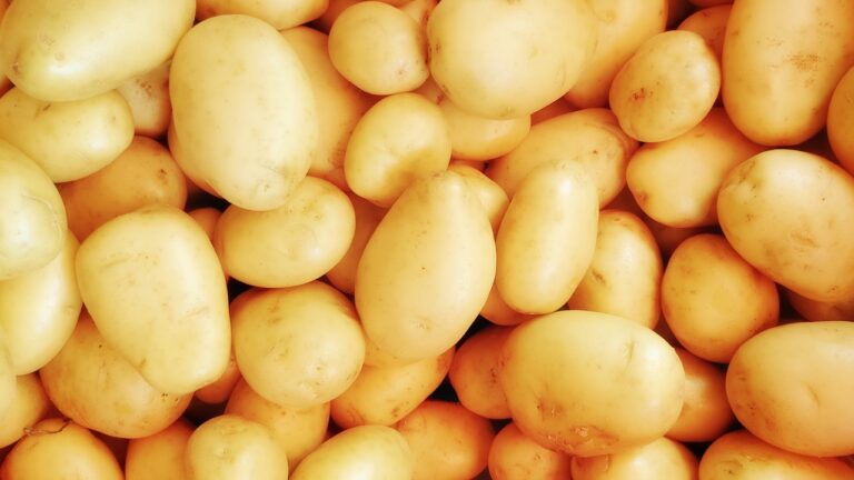 Estudo revela origem surpreendente da batata há 9 milhões de anos