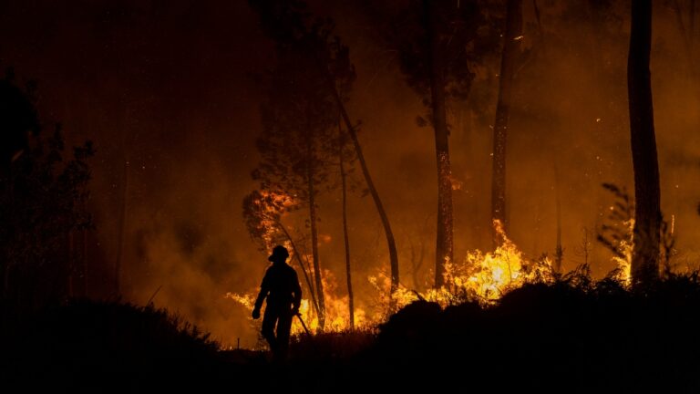 Incêndios florestais bloqueiam rotas na Espanha e levantam preocupação