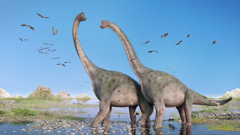 Fósseis no interior de SP revelam surto infeccioso em dinossauros pescoçudos