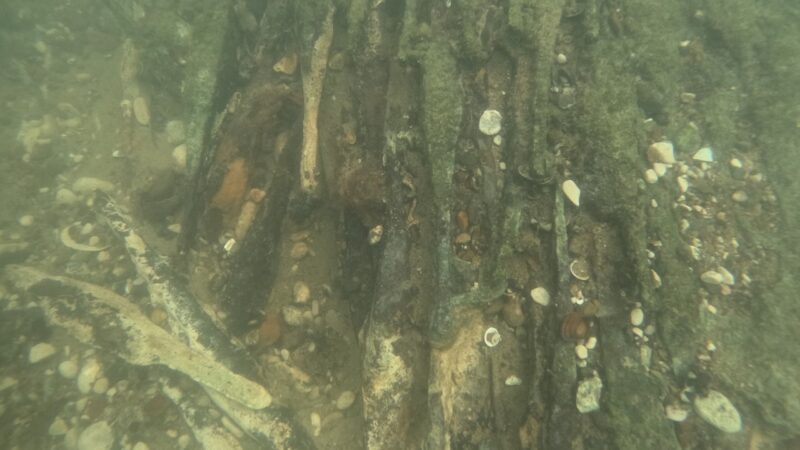 Maior coleção de lingotes pré-históricos da Europa é descoberta na Bósnia