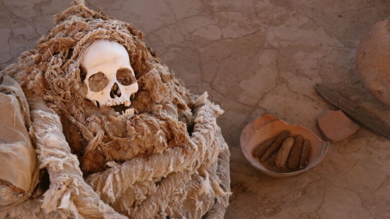 Arqueólogos descobrem sacrifícios humanos de 3.000 anos no Peru
