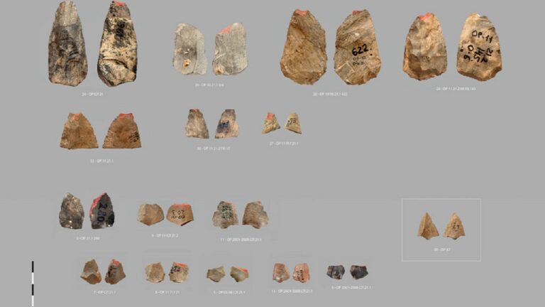 Descoberta arqueológica revela antigos arcos e flechas no Uzbequistão