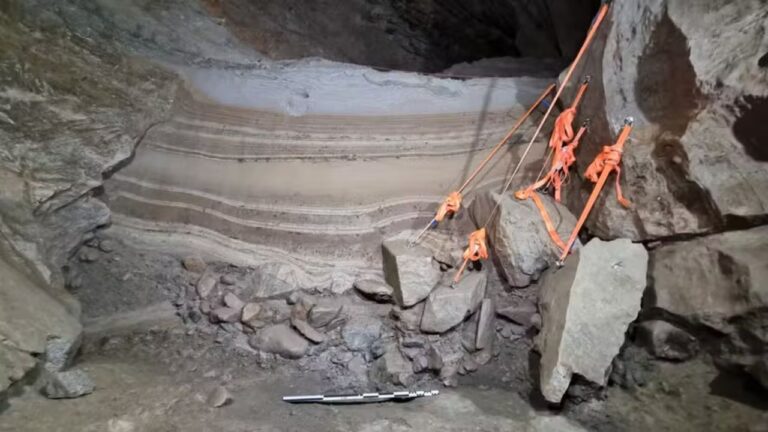 Restos de animais que viveram no Ártico há 75 mil anos são encontradas em caverna
