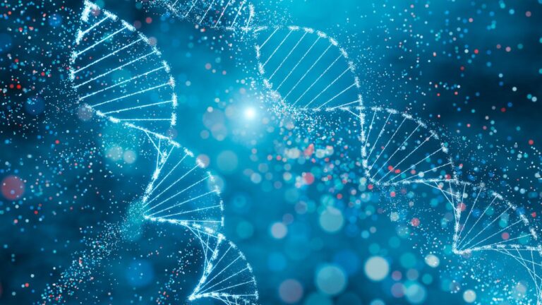 Primeiros americanos tinham DNA denisovano, diz novo estudo