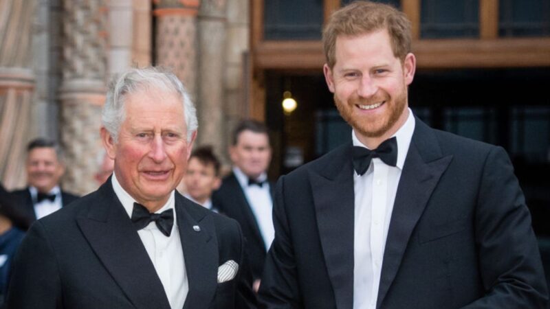 Príncipe Harry e Rei Charles