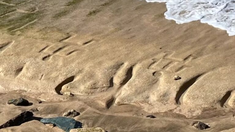 Petróglifos de 500 anos reaparecem após recuo da maré no Havaí