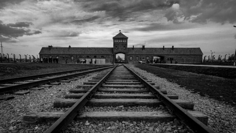 Holocausto capa