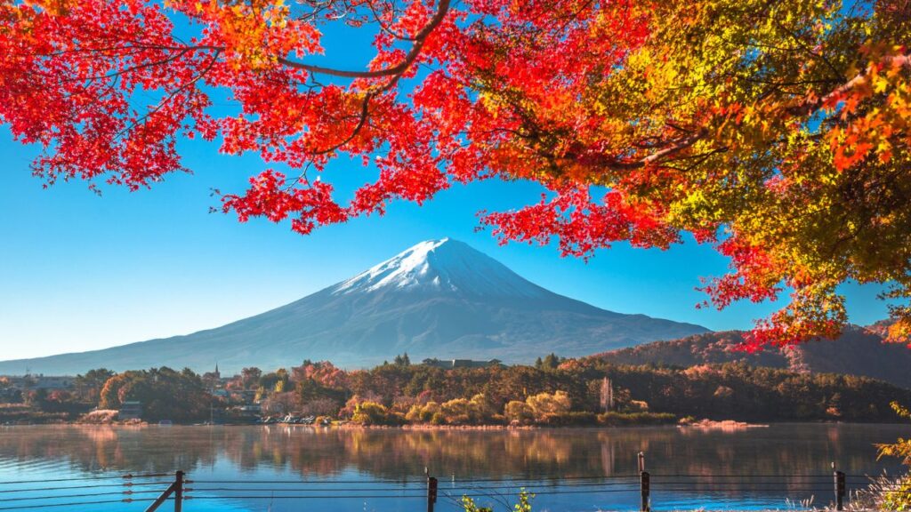 Com 908 mil pessoas a menos em 2024, população do Japão sofre maior queda desde 1968
