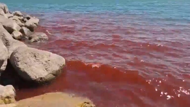 Praga do Egito? Mar da Galileia fica vermelho e espanta moradores