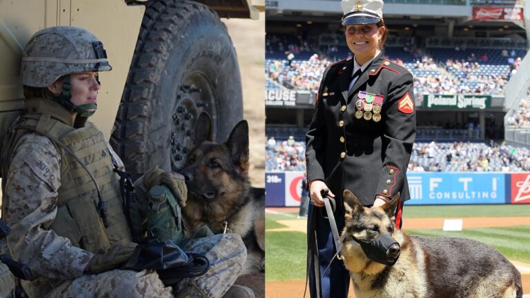Megan Leavey: Veja 5 curiosidades sobre a verdadeira história do filme