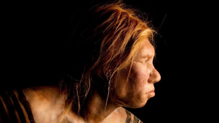 Gene que difere entre humanos e neandertais pode ser caminho para compreender extinção da espécie