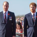 Príncipe William teria ignorado ligações de Harry, segundo revista