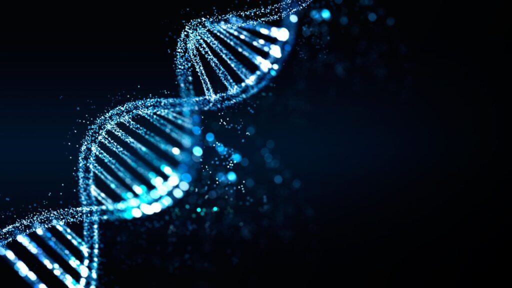Humanos carregam genes relacionados à hibernação, diz novo estudo