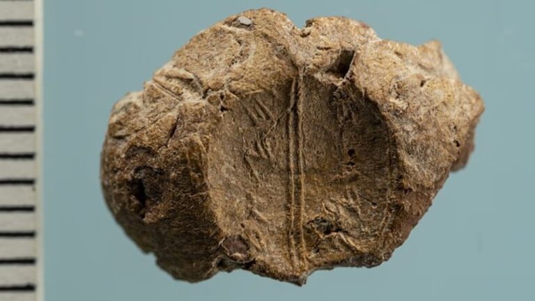 Selo de argila de 2.600 anos revela alerta bíblico sobre o fim do mundo