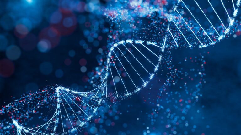 DNA antigo de caçadores-coletores pode estar ligado à longevidade
