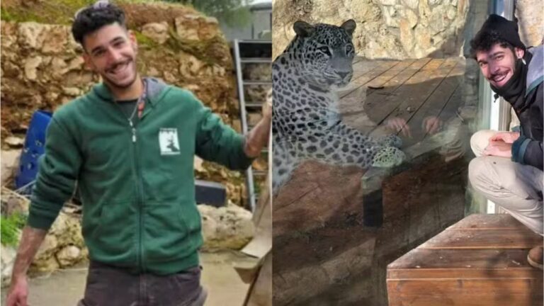 Zelador de ‘zoológico bíblico’ morre após ataque de leopardo