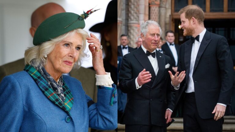 Camilla teme reconciliação entre Rei Charles III e Príncipe Harry
