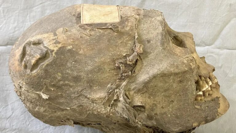 A origem da cabeça mumificada encontrada na Bolívia