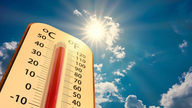 No último verão europeu, 16,5 mil pessoas morreram de calor, aponta estudo