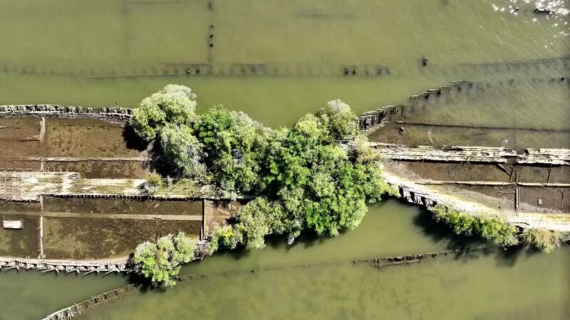 Nos EUA, cemitério com 147 naufrágios se transforma em santuário ecológico