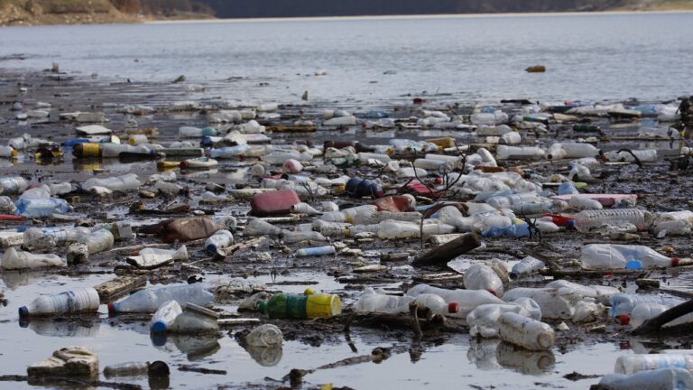 Plastisfera: Uma mancha de lixo virou um ecossistema no oceano