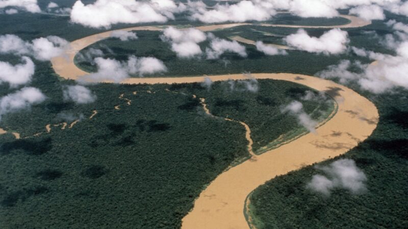 Estudo sugere que Amazônia pode começar a morrer ainda no século 21