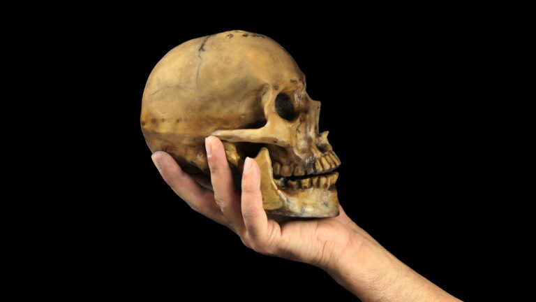 Hobbits: Como o Homo floresiensis desafiou a regra dos cérebros grandes
