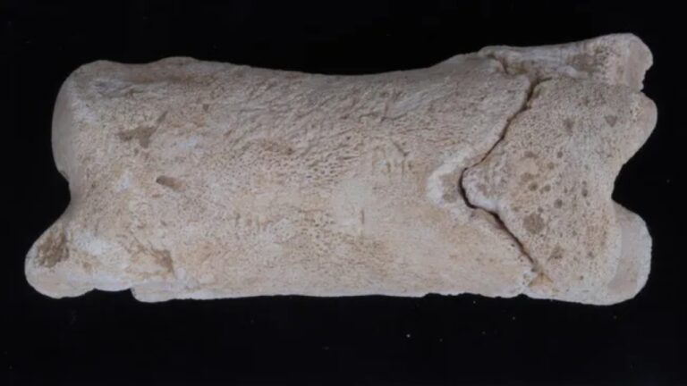 Apito ‘policial’ de osso de 3.300 anos é descoberto no Egito