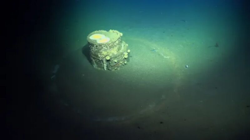 Mistério de barris com “halo” no fundo do mar chega ao fim