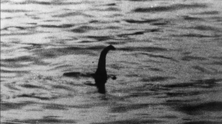 Lenda viva? Criatura enigmática aparece em lago e surpreende pesquisadores