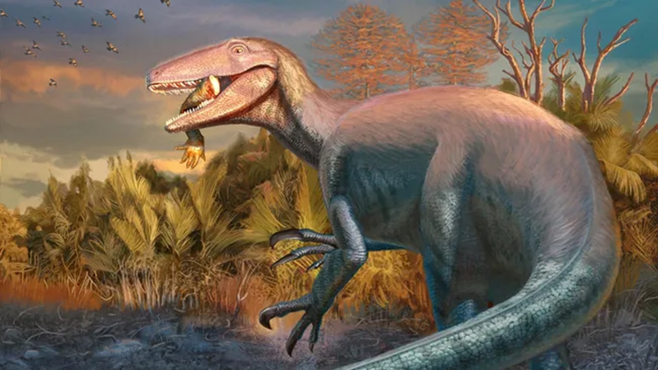 Dinossauro gigante é descoberto na Argentina - Aventuras na História