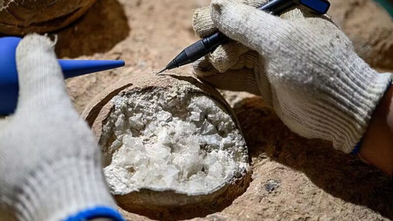 Cristais são encontrados dentro de ovos de dinossauro datados de 85 milhões de anos
