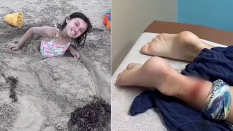 EUA: criança de 8 anos é atacada por tubarão em praia no Texas